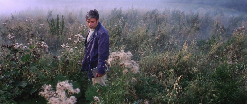 Illustration for article titled What Annihilation learned from Andrei Tarkovsky’s Soviet sci-fi classics